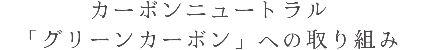 カーボンニュートラル「グリーンカーボン」への取り組み